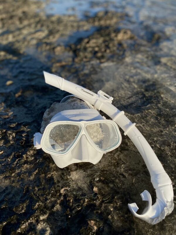 自由潛水低容積面鏡（買面鏡送盒子） / 面鏡呼吸管套組